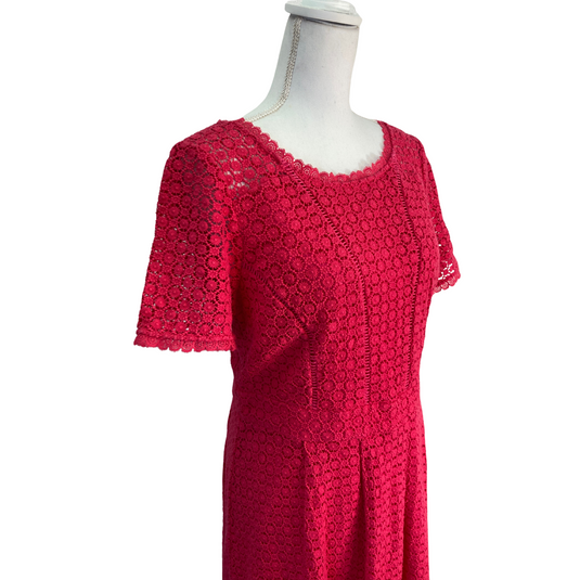 Pink Dress (L)