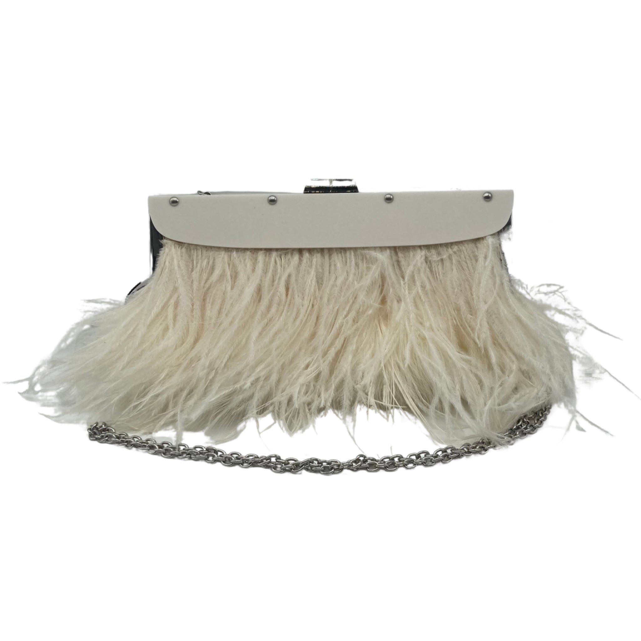 Genuine White Ostrich Feather Lucite Clutch