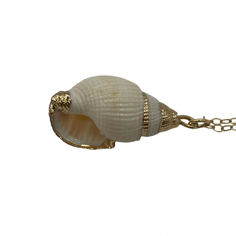 Load image into Gallery viewer, White Spiral Shell Necklace
