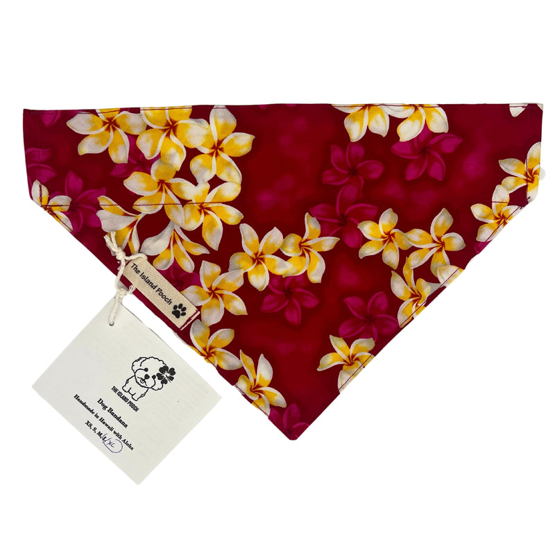 Load image into Gallery viewer, Slip-On Dog Bandana (L/XL)
