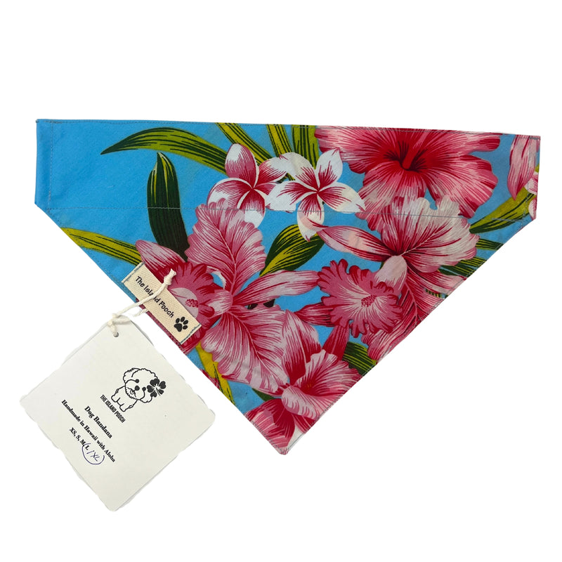 Load image into Gallery viewer, Slip-On Dog Bandana (L/XL)
