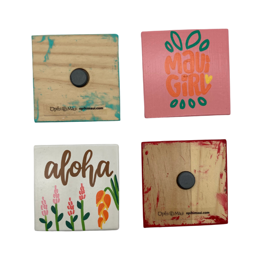 'Opihi Maui Assorted Magnets