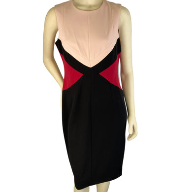 Calvin Klein Pink & Red Sheath Dress