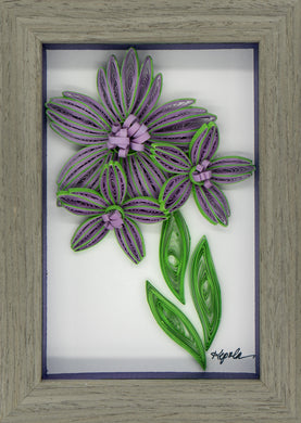 Violet Blooms