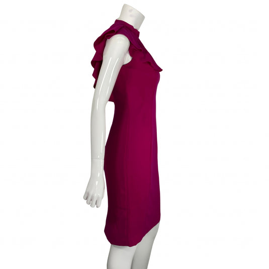 Badgley Mischka Fuchsia Dress